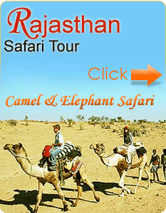 Rajasthan Safari Tour